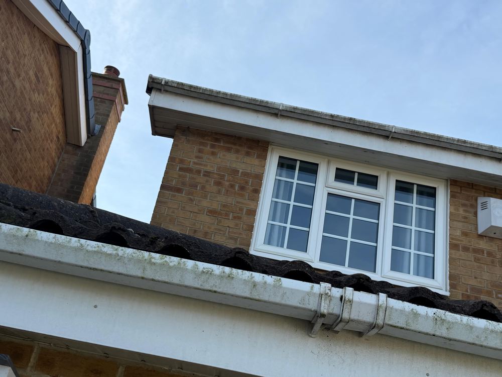 White fascia and soffit stained with green algae and black streaking before cleaning.