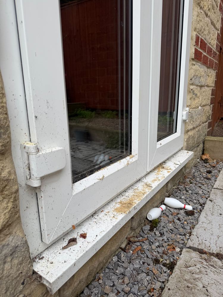 French doors with dirty glass and a marked frame before cleaning.